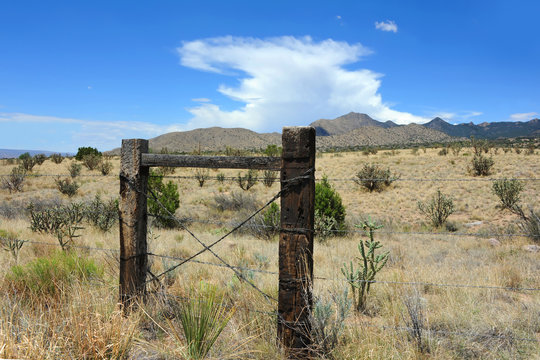 Fence Posts Face Sandia Mountain Foothills