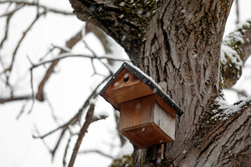 Vogelhäuschen oder Vogelhaus an Baum im Winter mit Schnee