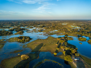Pantanal photographed in Corumba, Mato Grosso do Sul. Pantanal Biome. Picture made in 2017.