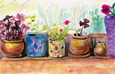 Fototapeta na wymiar Watercolors, home plants, hand-drawn. Balcony flowers in small pots stand next to each other, a watercolor illustration.