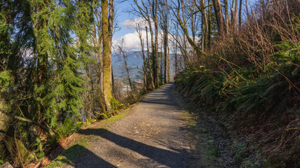 forest trail overlooking mountains