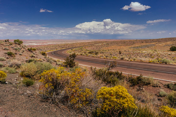 Petrified Forest National Park, Arizona, USA