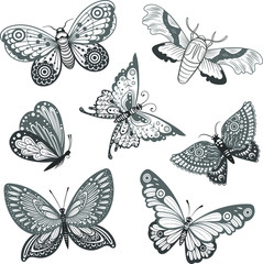 Vector Black and White Butterflies Collection