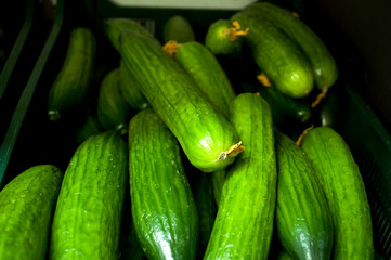 many cucumbers, cucumber background