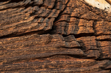 ?arts of a dark brown old wooden wall with a bright pattern