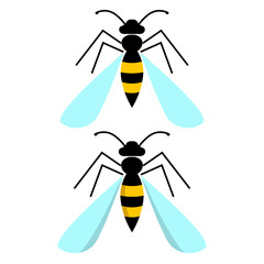  illustration of an insect. Diagram with labeled parts of a wasp.