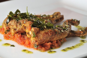 Go Where Gastronomia..Ici Bistrot..Chef : Benny Novak..Jambarettes de Rã a Provençal