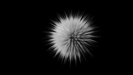 Bright highly detailed fluff black and white, abstract 3D render illustration. On a black isolate background.