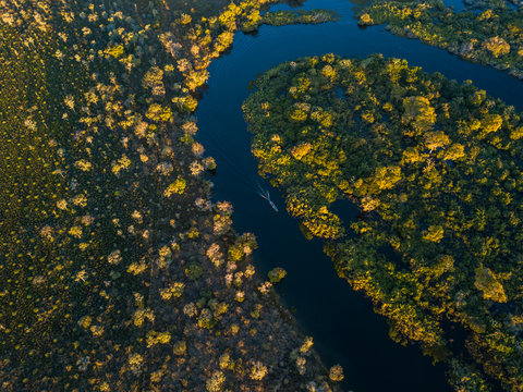 Miranda River photographed in Corumb&aacute;, Mato Grosso do Sul. Pantanal Biome. Picture made in 2017.