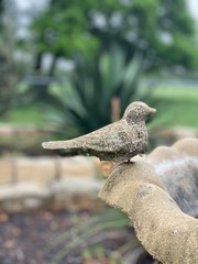 Birdbath