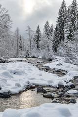 White scene of winter beauty snow forest inside, the river among the snow-covered forest, panorama of wild nature wintery background, Branches in hoarfrost