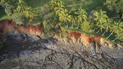 aerial top down view palm tree pattern sand