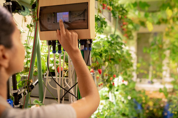 Over shoulder view of woman adjusting temperature on control panel in greenhouse