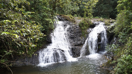 Fototapeta premium waterfall in jungle panama green