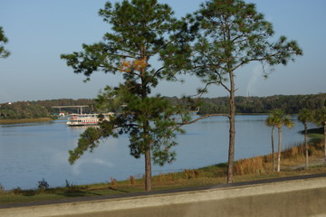 Obraz premium Árvores