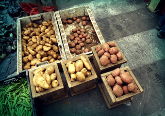 Papas chilotas en cajas y en feria