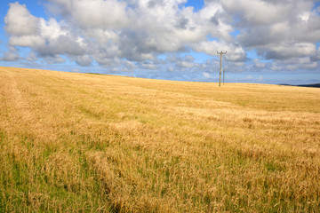 Orkney (Scotland), UK - August 09, 2018: A typical landscape in the Orkney islands, Orkney, Scotland, Highlands, United Kingdom