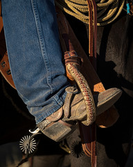 Gritty Rustic Cowboy Boot in Stirrups with Spurs Saddle and Horse