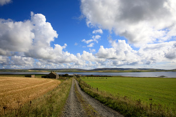 Orkney (Scotland), UK - August 09, 2018: A typical landscape the Orkney islands, Orkney, Scotland, Highlands, United Kingdom