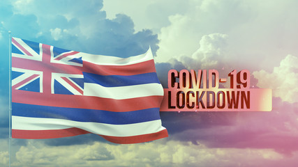 Obraz premium Coronavirus outbreak and coronaviruses influenza lockdown concept with flag of the states of USA. State of Hawaii flag Pandemic 3D illustration.