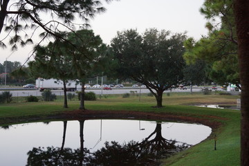 Obraz premium Árvores