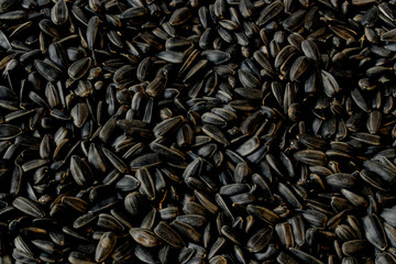 Background, texture. Sunflower seeds image.