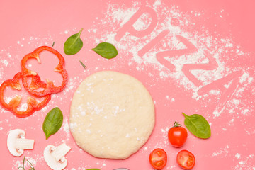Ingredients for tasty pizza on color background
