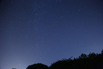Fototapeta na wymiar étoiles et voie lactée, ciel d'été avec pins