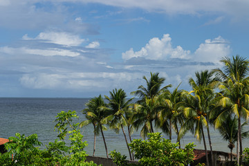 Beaches of Brazil - Ponta de Pedra Beach, Pernambuco state - Brazil
