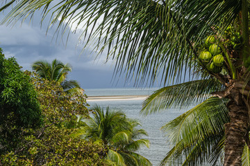 Fototapeta na wymiar Beaches of Brazil - Ponta de Pedra Beach, Pernambuco state - Brazil