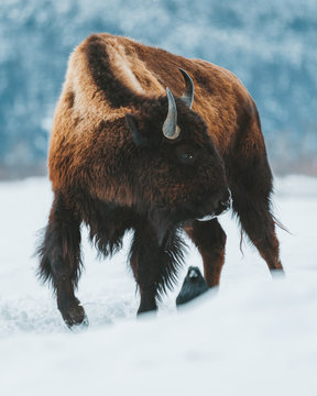 Photography by Charly Savely.