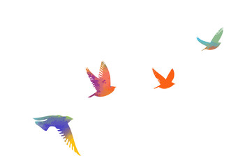 Multi-colored birds. A flock of flying rainbow birds. A lot of soaring birds. Mixed media. Vector illustration