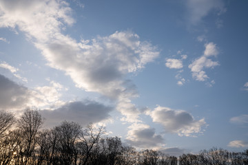 Cumulus sunset clouds with sun setting down, blue sky, view from the forest