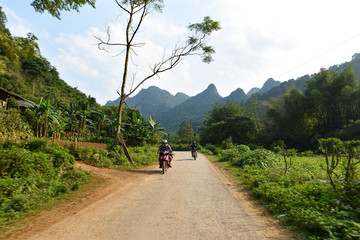 paysage vietnamien