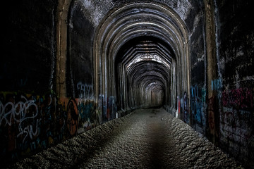 Naklejka premium Train tunnel in northern California with graffiti