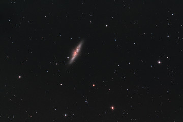 M82  galassia nella costellazione dell’orsa maggiore