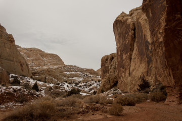 rocks in the desert at winter