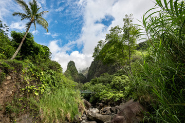 Fototapeta na wymiar Iao Valley, Maui, Hawai'i, Iao Needle, State Park, Blue Sky, Pinnacle, 