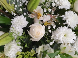 natural flower for decoration and arrangement design