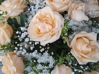 natural flower for decoration and arrangement design