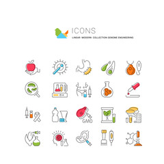 Set Vector Line Icons of Genome Engineering.