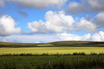 Fototapeta na wymiar Orkney (Scotland), UK - August 10, 2018: A typical landscape in the Orkney islands, Orkney, Scotland, Highlands, United Kingdom