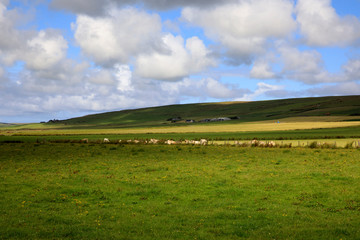 Orkney (Scotland), UK - August 10, 2018: A typical landscape in the Orkney islands, Orkney, Scotland, Highlands, United Kingdom