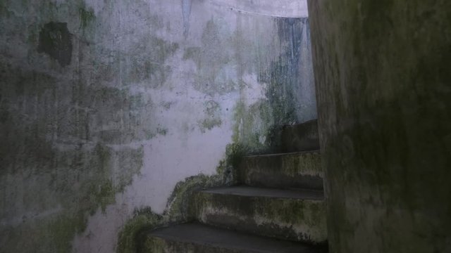 Stairs leading to mysterious opening fort stevens state park historic war stairway