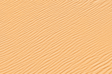 Fototapeta premium Desert background. Sandy dune backdrop. Sand texture.