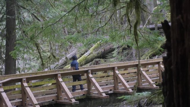 African American young Male walking and hiking calmly alone with hands in pocket across natural wooden bridge trail through peaceful forest trees nature