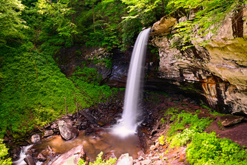 Lower Falls of Hill Creek, WV