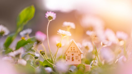Obraz na płótnie Canvas Wooden eco home model on green grass and flowers, forest background. Environmental awareness, eco friendly concept, sunlight effect, soft selective focus. House building. Fairy tale art photography