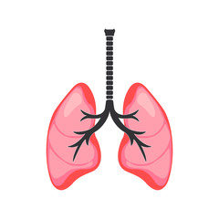 human lungs isolated on white background. Vector EPS 10