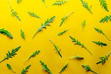 Arugula pattern. Arugula leaves on colored background. Flat lay, top view